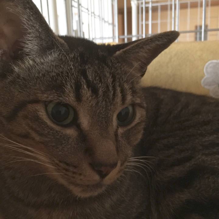 6330370a 3f80 4a7b 8ecc 97d016332c93