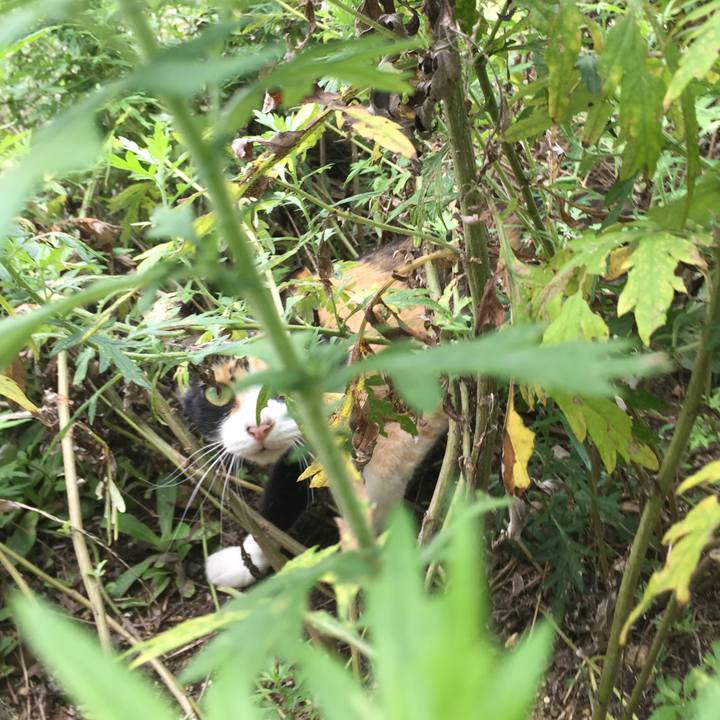 633055c1 a9b9 4317 875a f304a497998c