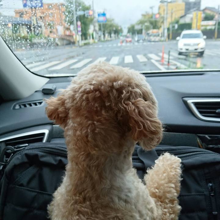 6330fcf7 ed87 429f 9b94 a0eed846c355