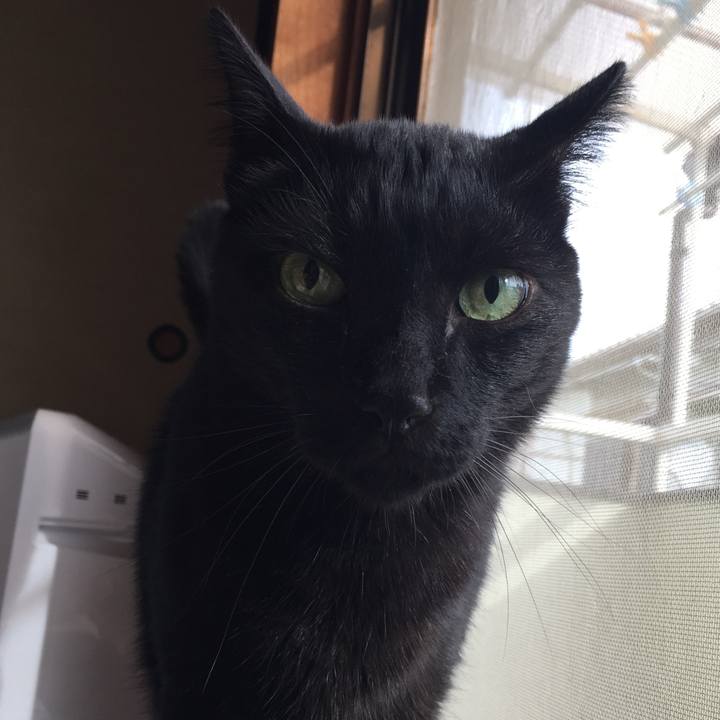 63316667 1f4f 4c39 a04f bc1b5fc26a67