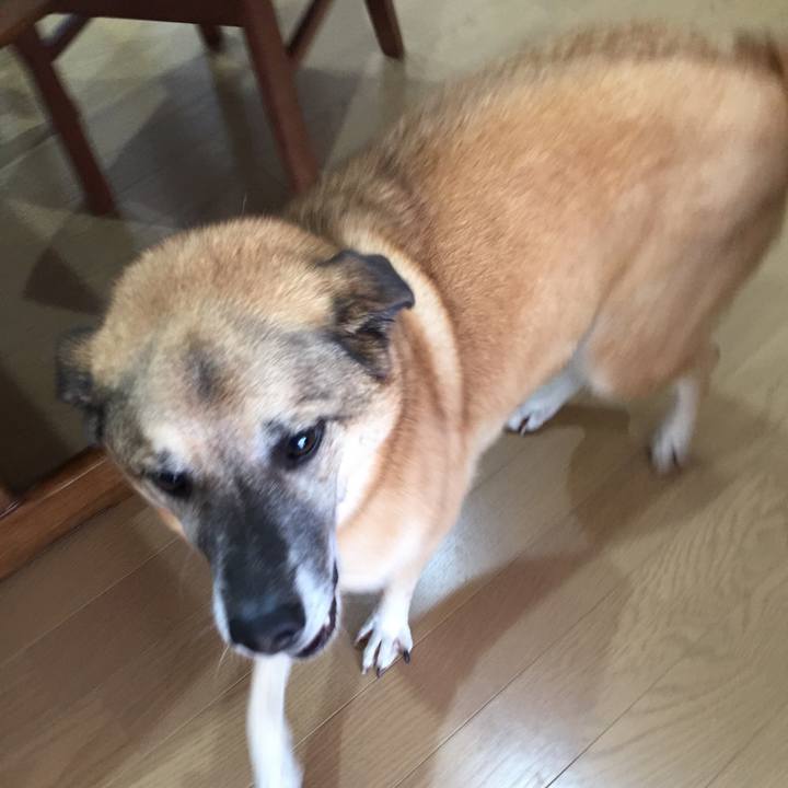 63316ded c272 4ab5 8339 79082bc8881c