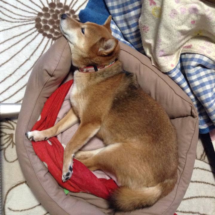 63321b9d 4839 43ec b80d 8464757d2ac8