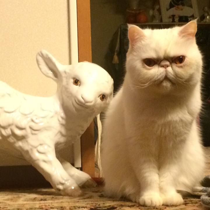 63326264 35a8 4ee8 8515 4db7d88adfd3