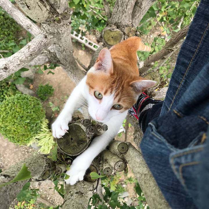 6332b794 3a05 41c3 a118 6b64ff3ac303