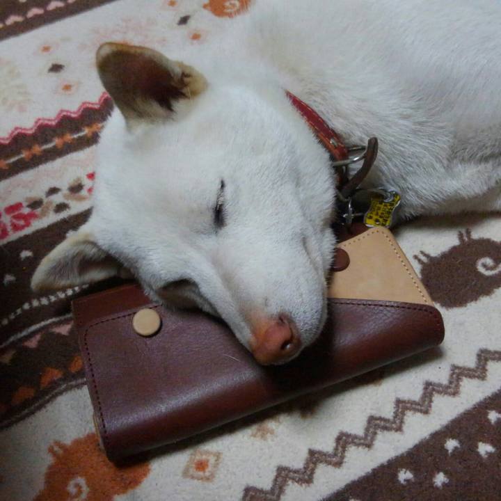 6333098e 4d23 4a6f ad39 e463ed107f99