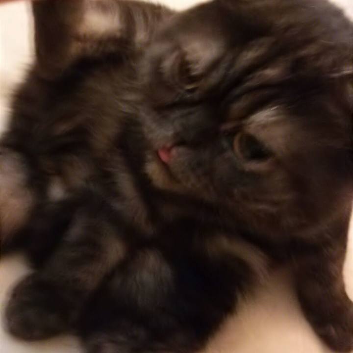 63337ab1 89d6 4bda a3a6 4a01e8fd4f59