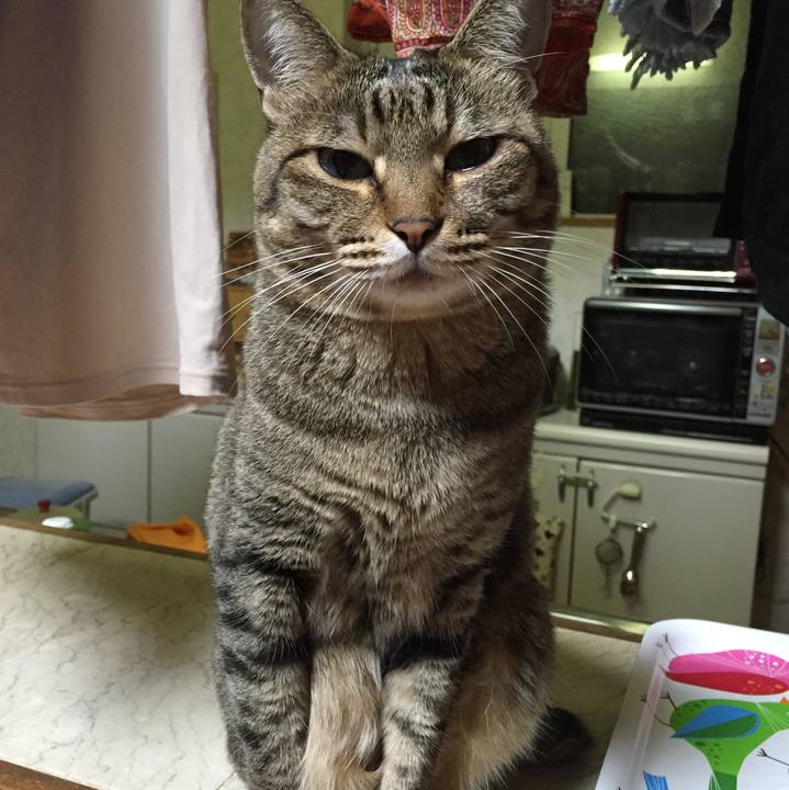 63346444 ec7f 46e1 b07a d6fd7101194a