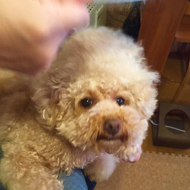 63349b60 8df9 45ef b80b cb4cdcbe01a7