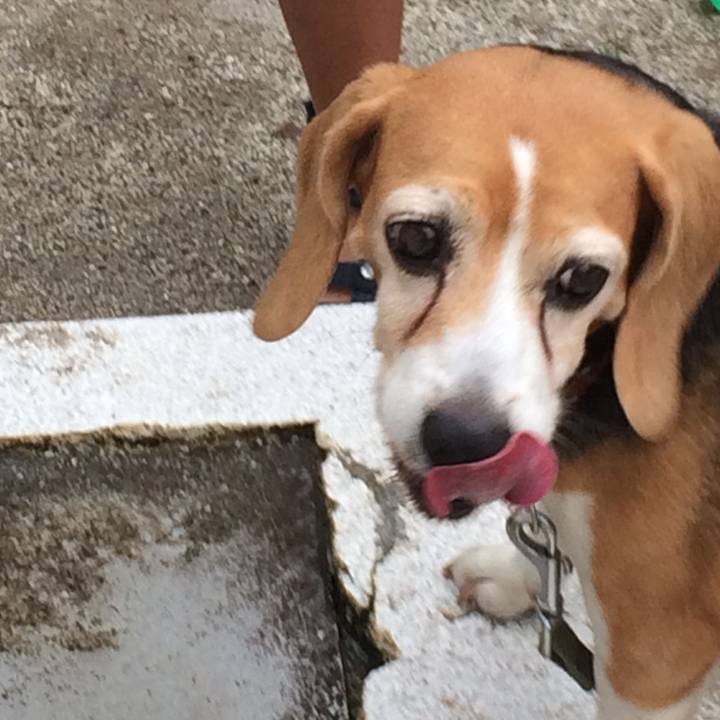 6334c9f6 81b1 4ef3 9e54 a45d80129492