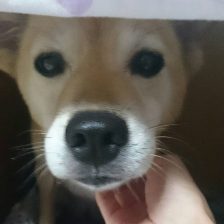 63350115 3705 4300 b154 e3ac2b3a84c6