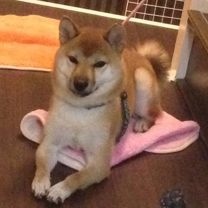 633607d0 9d84 4c20 894b d6866854b70e