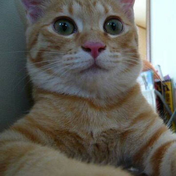 63361004 6e2e 4d3f bec3 e9f93561416f