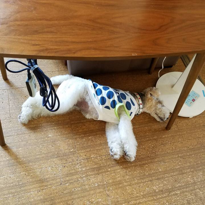 63367699 9eb0 45d2 80ca daa423d99377