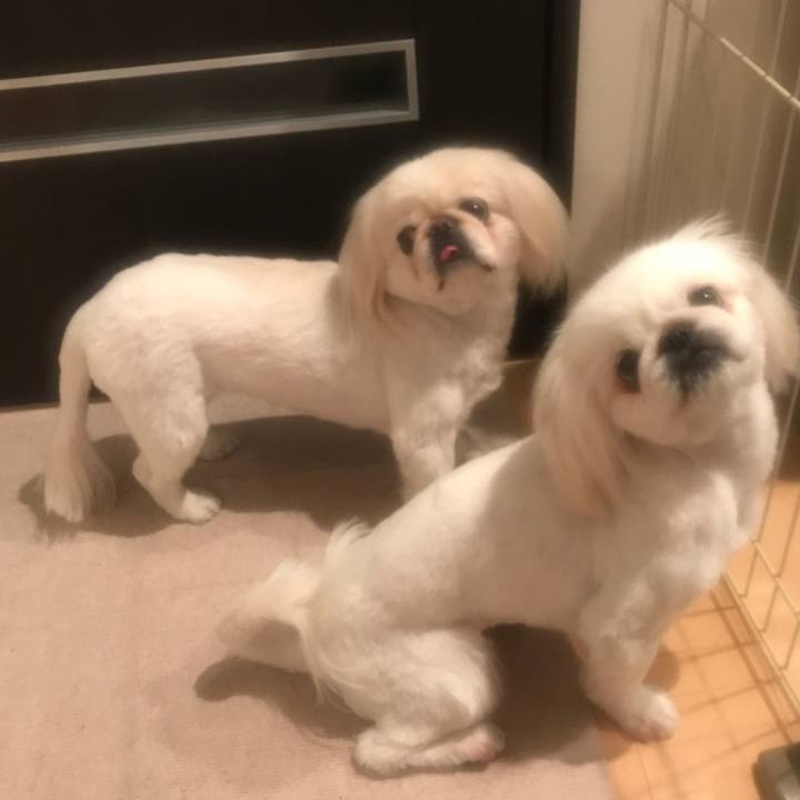 633696e0 933a 48ca 9b1f 58a18e33c7c7