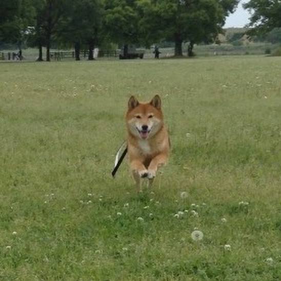 6336f16b 89f4 4ff8 b6f4 358059cb30dd