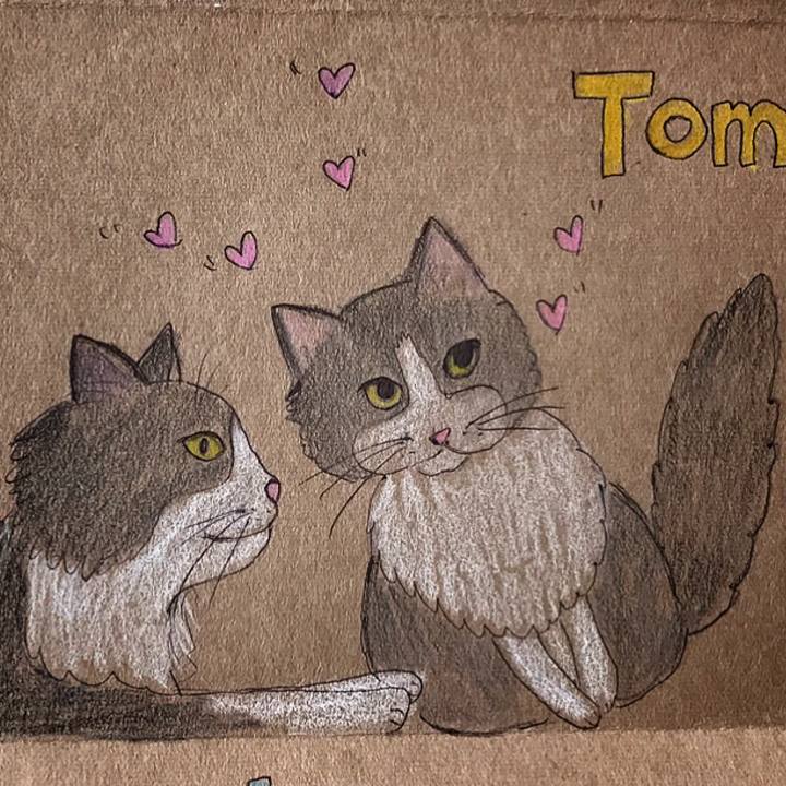 6337b958 d63e 464e b1ed 0af90feff94f