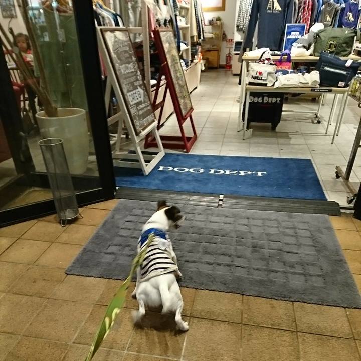 6337f39b c265 40b4 9dd4 469682dfd466