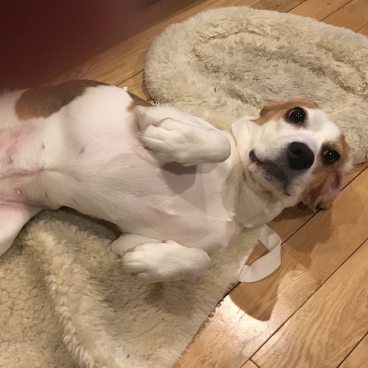 63381f3d 819b 4469 b2fe 18bd39a59045