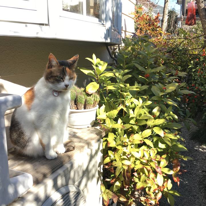 6338d54e e31f 449b 8494 14d171ea85d5