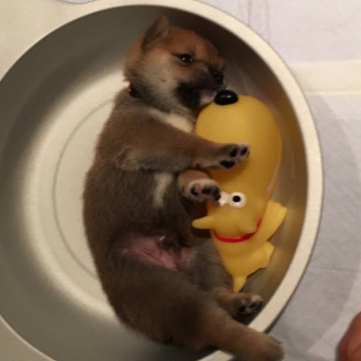 63392454 7b45 4f77 b8cf d88a6a1c5eb2