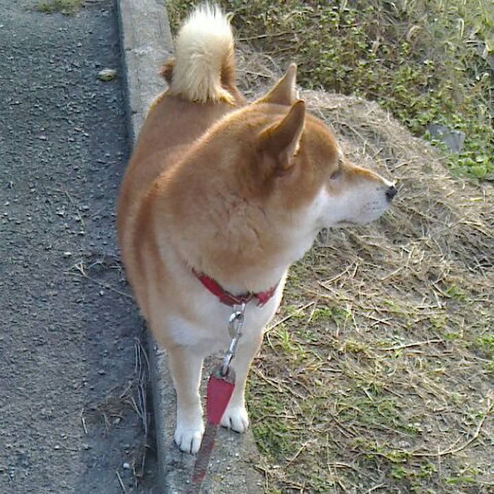 633993fe 11bd 4763 92a7 eaac67b137b5