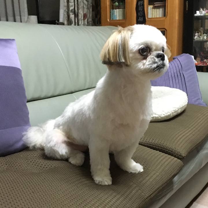 6339b68f 5a73 46fd 874d 2f184fa5eb9a