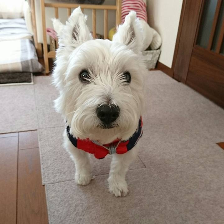 633ace36 e3eb 4474 bead e18fbfcc0828