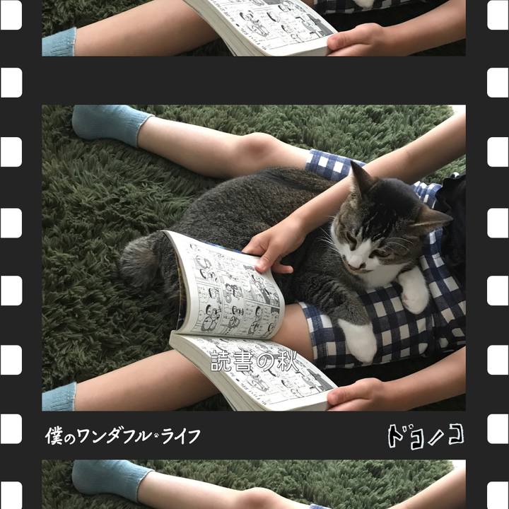 633ced95 c82c 48a0 9712 f48581926009