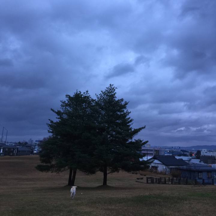 633d1479 d47e 46b1 86b6 bc0d6953a024