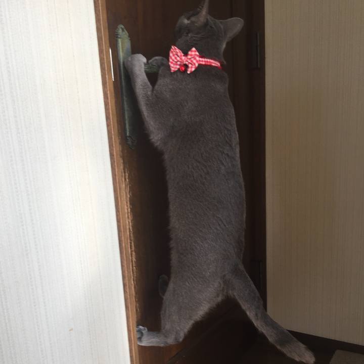 633de266 4065 4986 acab 2b282b04df57