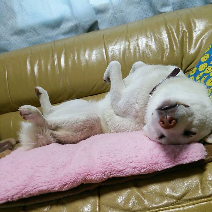 633e699a 6ad0 4bb1 a2a0 d4510e4bf00c