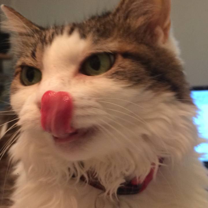 633e9b93 3adb 4b9c 91c6 eb02b1588810