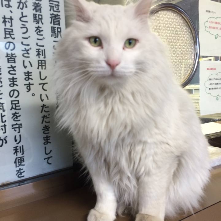 633f8de9 b73a 4c77 993c 7bfa1d67c344