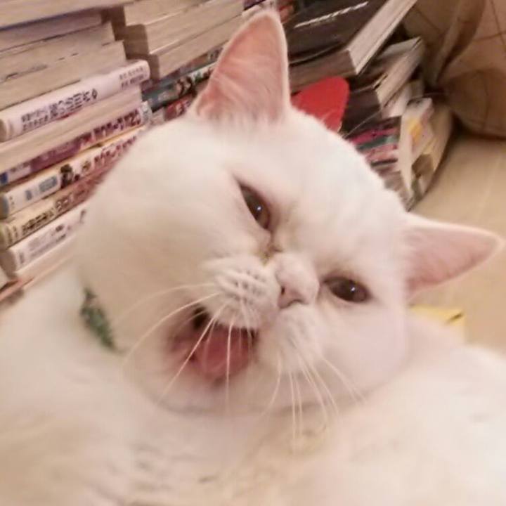 633f92aa 0fe4 4b9f b134 1820a53bdbda