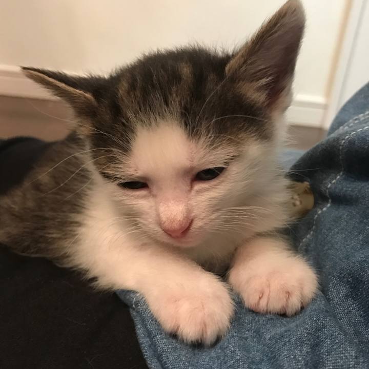 63403bce ec18 4ad3 8a37 ea420f63d8fa