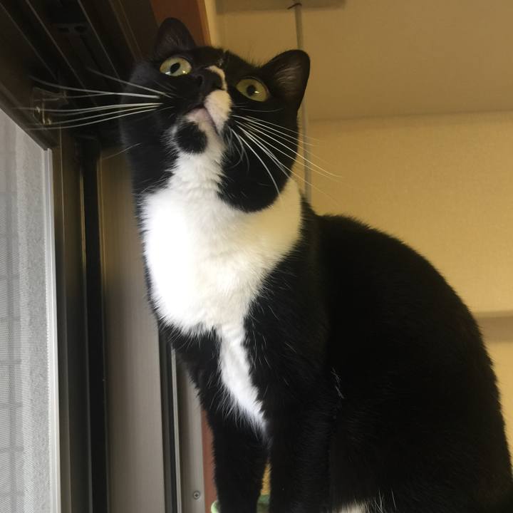 63419f98 32d5 4427 b6f0 66c5913fa490