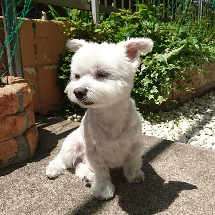 6341fa35 0866 41af 8a61 ddc85b618640