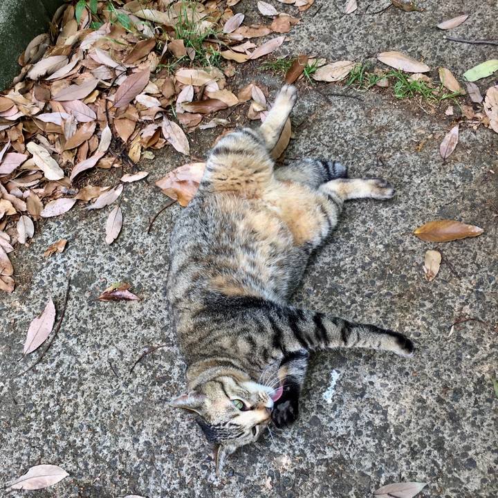 63421fbe 8155 4541 8dfc e5bbbde402aa