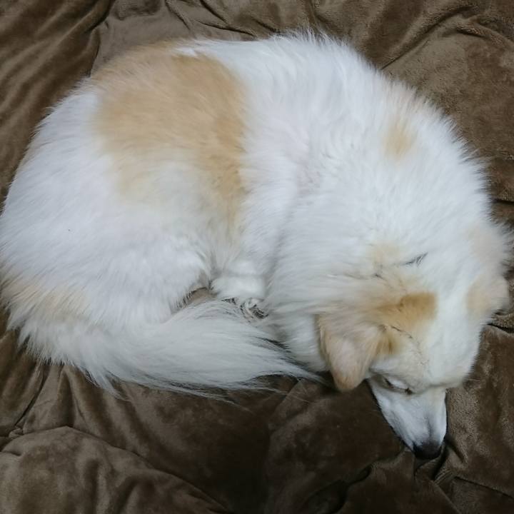 6342d1ab 695f 4355 bce0 3268c304fcde