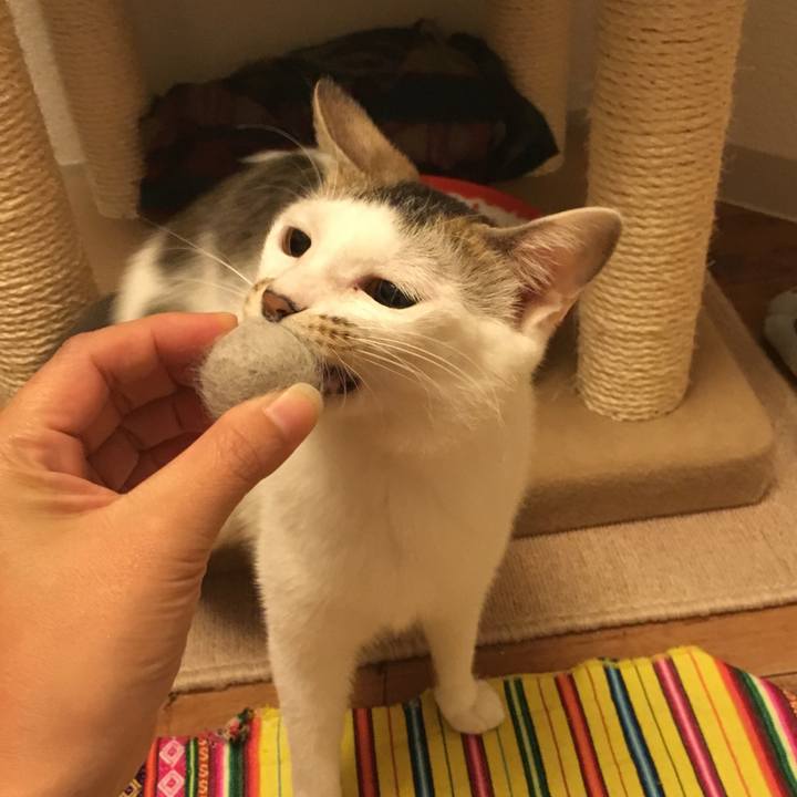 63434bf8 5006 4200 b7aa 8c980c0f5931