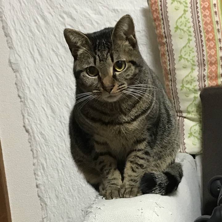 6343bd69 2cb1 48fe ae27 abeac87cab60