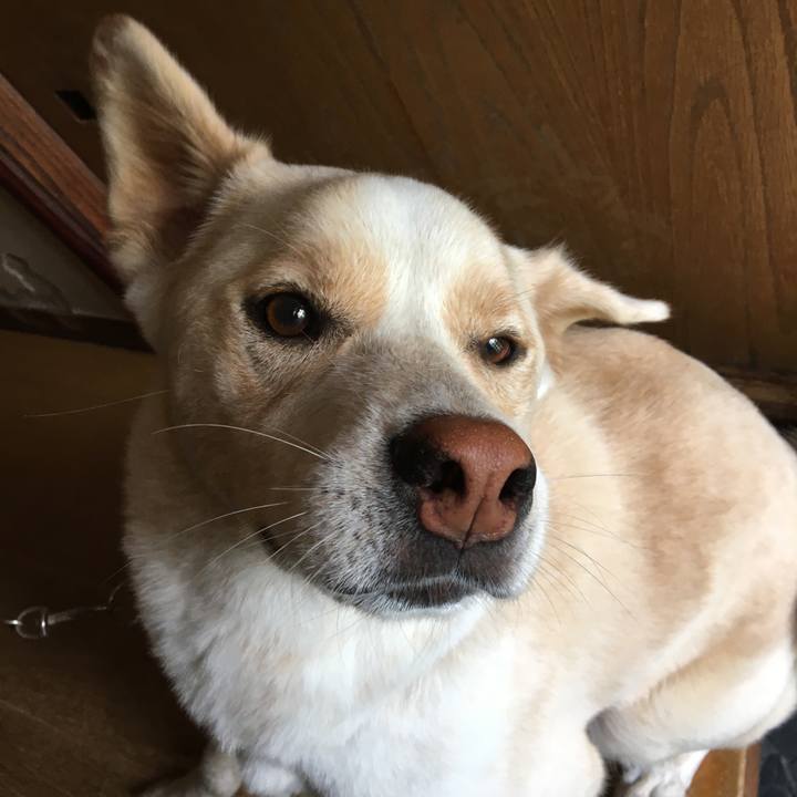 63443dc2 9054 43c9 9717 20f70839f7d7