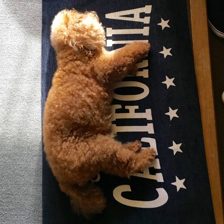 6344741c 80e5 4e6e 9722 dd548cce0c37