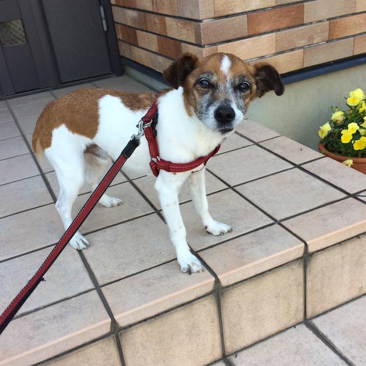 6345a92a d028 4bf9 99c5 5a4963217a60