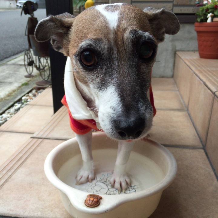 6345ee0c 49c8 4168 a31e 1d7d985b06e9