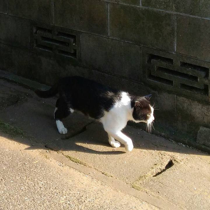 63463a1f e27f 4135 a17c 1729fef49397