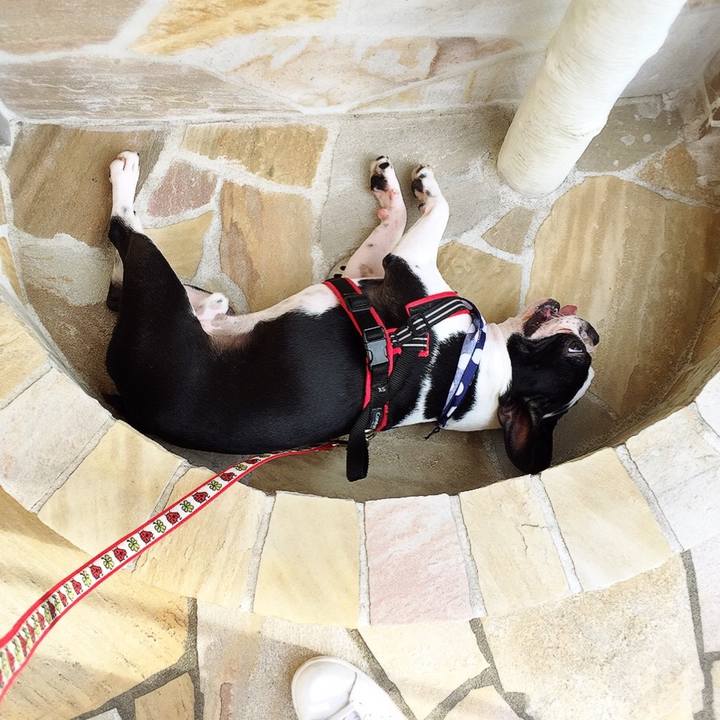 63469114 2bae 4779 923e 9209722a7be6