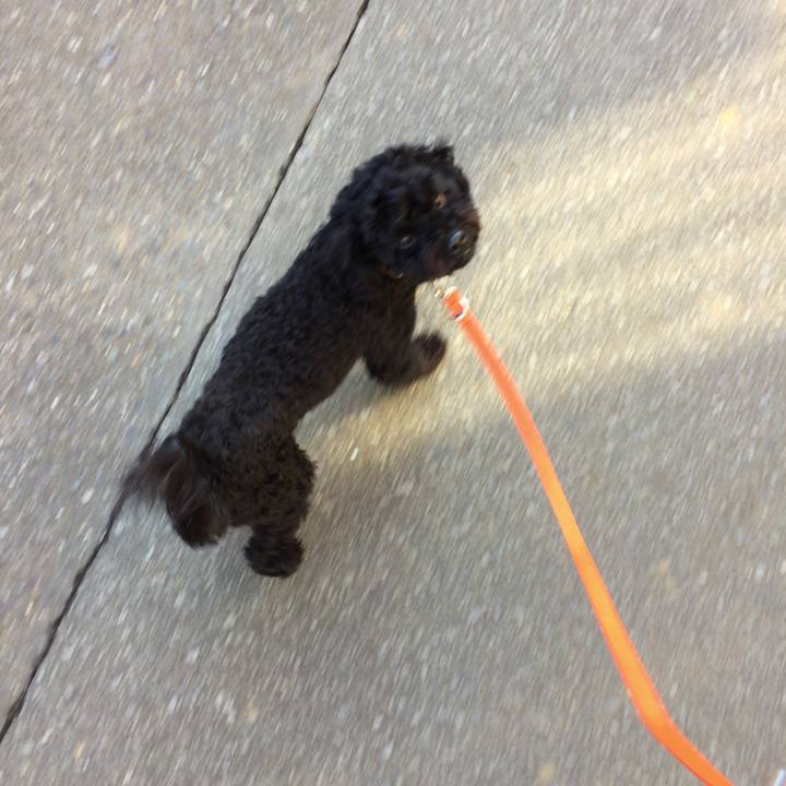 6346b1eb 3fd3 46d4 bc28 48cae8e81a10