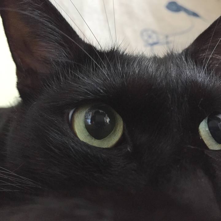 6346b37f f735 4059 adaf 27603e89aa83