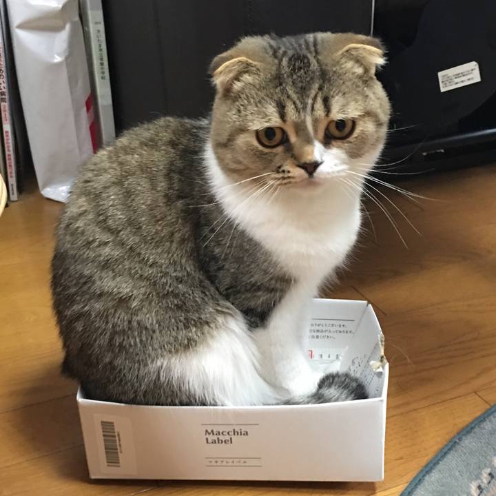 63472f9d c8d9 42c6 aa97 44297aaf6de7